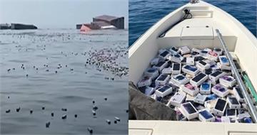 荷姆茲海峽成「最新iPhone海」？貨輪疑遇襲沉沒　小船瘋撈畫面曝光