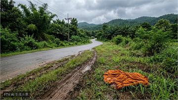 泰國11歲童偷開貨車撞朝聖隊伍　釀8死10傷慘劇