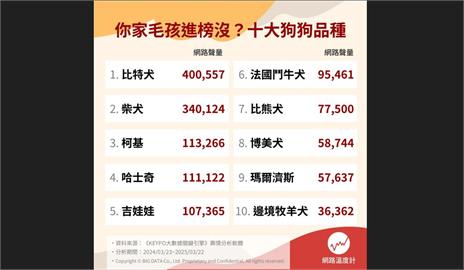  十大犬種網路聲量PK！法鬥、柯基、瑪爾濟斯...你家毛孩進榜了嗎？ 