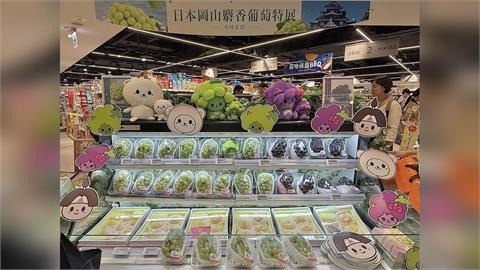 日本「晴王麝香葡萄」中秋限量登場！甜度16度以上估掀搶購潮