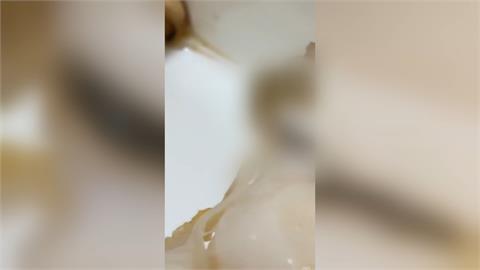 蟲蟲危機！連鎖壽司店外帶組合　扇貝裡驚見蛆在動