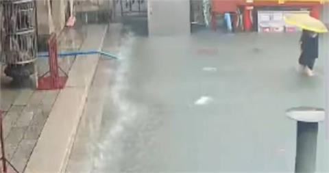 彰化木瓜及釀酒葡萄颱風豪雨受損  可申請現金救助
