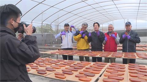賴清德向黨員報告到新竹市　烏魚子業者：吃過都當總統