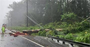 颶風拉拉侵襲夏威夷！逾21萬戶停電、100棟房屋受損　1人車禍死亡