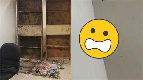 房東躺著賺？超噁租客把房子變小強屋　牆上「滿是蟑螂蛋」慘狀曝光