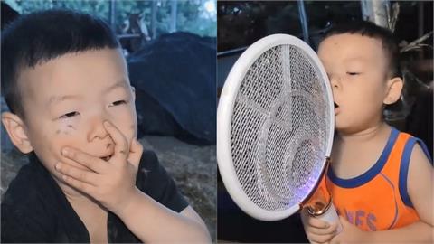 人體捕蚊燈！3歲男童發聲練就「招蚊大法」　網驚：上輩子是隻蚊子