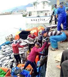 牛港鰺「海底風暴」疑變9噸漁獲　網掀生態保育論戰