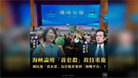 快新聞／馬政府也打臉藍營！民進黨揭「海峽論壇」內幕：賣水果要到統戰平台？
