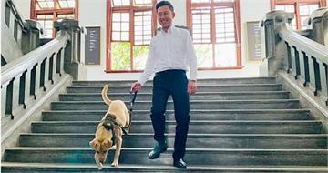 前新竹市犬「棕棕」被認養！新飼主熱情歡迎　牠臉上笑得超燦爛