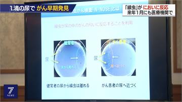 夜線／一滴尿驗15種癌！準確率85% 明年1月商用化