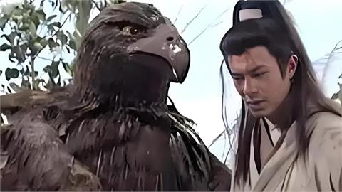 神鵰現身？國道驚見「巨鳥」霸氣橫穿馬路！網狂call楊過：你的鵰跑出來啦