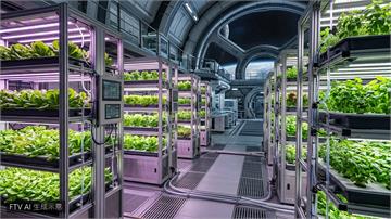 中國天宮太空站打造菜園　太空人連線港澳學生展示成果