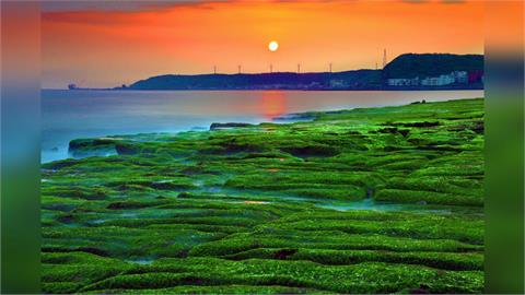 春風吹拂北海岸 老梅綠石槽夢幻景觀再現