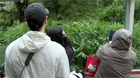 動物園亂象頻傳！　遊客亂丟菸蒂　園方嘆：無權裁罰