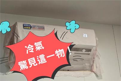 租屋處冷氣一開竟狂下「蟑螂雨」！屋主不信苦主崩潰：哭到去收驚