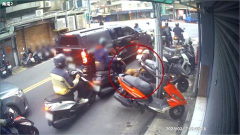 有影／同隻比特犬兩週內二度跳窗咬人　網友暴怒痛罵飼主！動保處：研議沒入