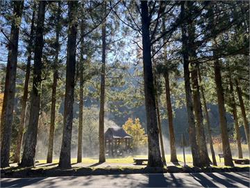 武陵農場「限定仙境美景」登場！　白霜融化成陣陣白煙如夢似幻
