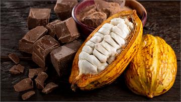 吃黑巧克力減少「腦霧」症狀？ 日研究實測：決策速度明顯變快，1天然物質是關鍵