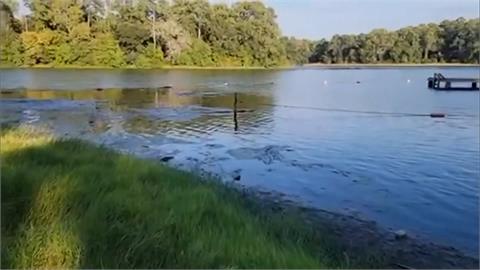 德州州立公園童軍團露營　湖裡玩水赫見四米大鱷　眾人火速游泳逃生