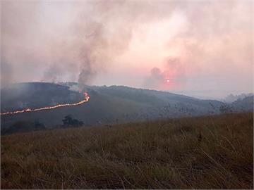 火氣球墜落引發火災　毀聖保羅州立公園逾半面積