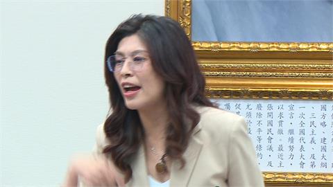 國民黨藍國共論壇週二記者會　黨內憂「跟中國走太近」衝擊選情