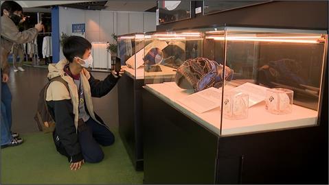 101觀景台 "夢想高飛"特展 展出逾1.8億元棒球珍品 還有絕美楓紅