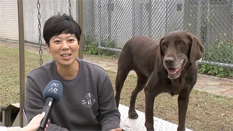 搜救犬界世界盃！新北搜救犬Amei為國爭光奪世界第二