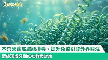 不只營養高還能排毒、提升免疫引發外界關注 藍綠藻成分翻紅社群掀討論