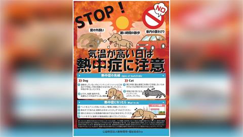 寵物也搭消暑商機　家電廠推「溫度監測」﹑服飾業推量感服飾