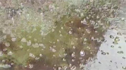 中部雷雨大鬧航班！　台中清泉崗5班機延誤衝擊旅客行程