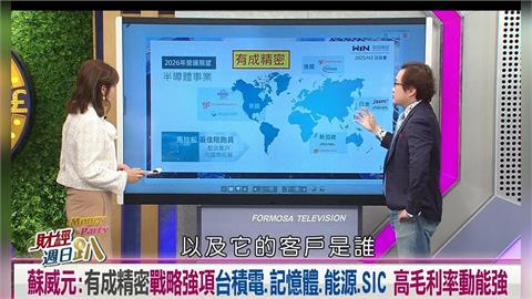 財經週日趴/蘇威元:有成精密四劍齊發 台積電.記憶體.能源.SIC高毛利動能強
