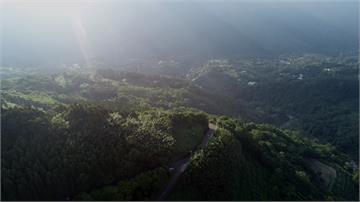 台灣沿岸打造綠色屏障 林務局盼造林延續生機