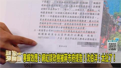 廠商誤砍東門巨樹北市府處理慢吞吞？洪婉臻爆：裁罰書壓了四個月！