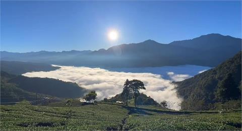 放鬆好去處！體驗"雲中打盹" 武界雲海如牛奶鍋