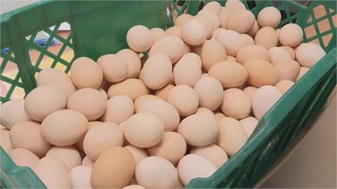泰國進口雞蛋價格賣太貴？　農委會列上架程序喊：是合理定價