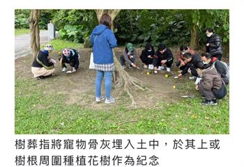 寵物殯葬陷阱多　新北動保處籲慎選契約避爭議
