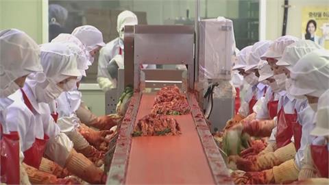 拯救本土業者 南韓政府擬建2大型泡菜倉庫