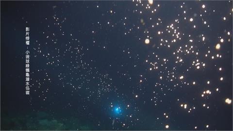 墾丁珊瑚產卵季　粉紅泡泡成海底星空