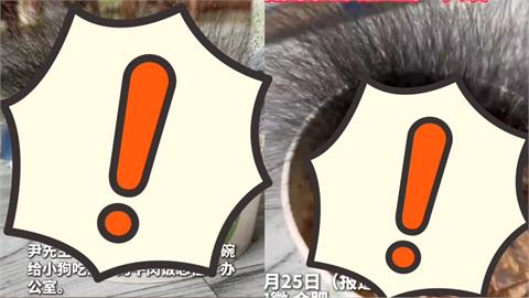 連假後回辦公室嚇壞！桌上牛肉飯離奇長出「15公分黑毛叢林」
