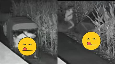 男女野外偷情「玩老漢推車」忘拉手煞車！連人帶車「摔進農田裡」出事激戰片流出
