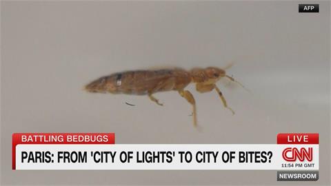 奧運在即巴黎遭遇「蟲蟲危機」　當局宣戰臭蟲誓言不影響奧運