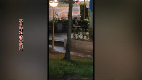 羅東夜市旁公園女子持菜刀揮舞　攤商嚇壞！警電擊槍圍捕強制送醫