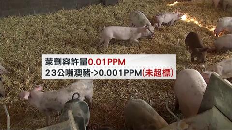 澳洲進口23公噸豬肉　首度驗出萊克多巴胺0.001ppm