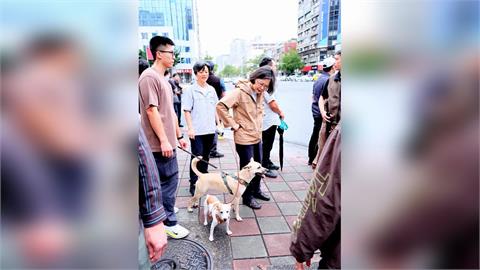 同志大遊行!蔡英文驚喜現身 蔣萬安遭杜汶澤嗆要抗中保台