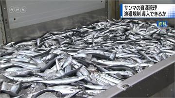指台灣漁民過度捕撈 日本提案限捕秋刀魚