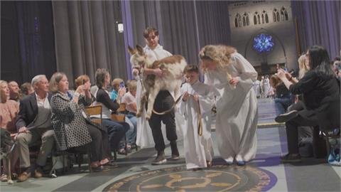 紐約聖約翰大教堂彌撒駱駝鴨子都現身　成數百隻動物超級伸展台