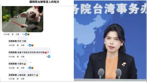 國台辦「翻牆」開臉書遭酸爆!民視小編火力全開「貓狗豬哏圖」輪番開戰