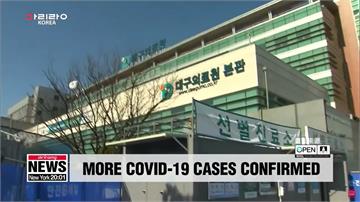 南韓再增15例確診 專機接回公主號公民