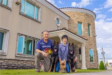 薩摩耶暴斃解剖結果與狗學校無關　西北訓犬學苑盼還清白