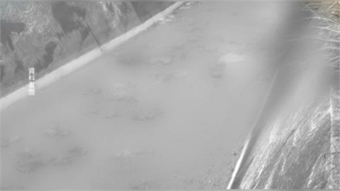 隱匿禽流感疫情、棄置死雞 台中畜牧場4人起訴